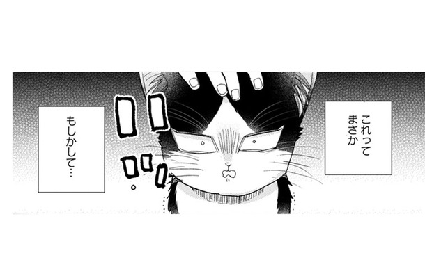 【猫視点】ごはんの言葉が聞こえた! まだあるのかと思ったらない!だまされた~!!【同居人はひざ、時々、頭のうえ。 #31】