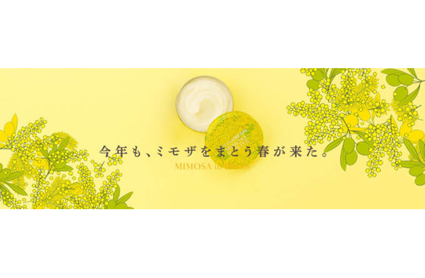 スチームクリーム、春を告げる季節限定ミモザシリーズが今年も登場
