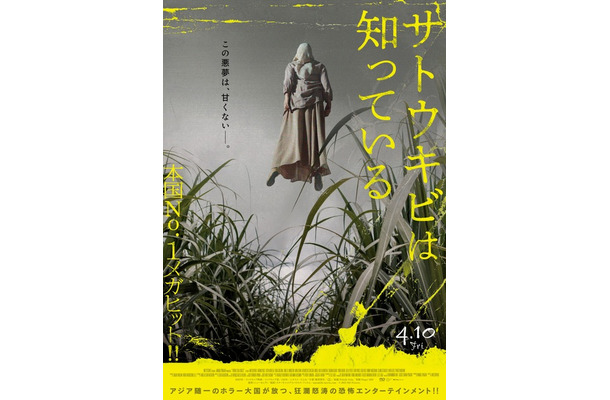 『サトウキビは知っている』© 2025 MD Pictures