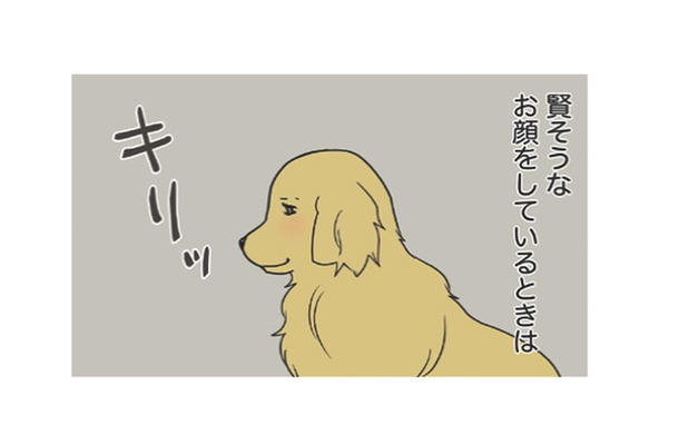 寝ぼけ顔は知的で、目が醒めるととぼけた顔に？愛犬のギャップがかわいい！【おさんぽですし！　おしゃべり犬とイライラ猫の日記 #５】