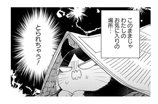 【猫視点】ぼや~んとしたヤツがずっと家にいる! このままじゃ私の居場所をとられちゃう!!【同居人はひざ、時々、頭のうえ。 #40】