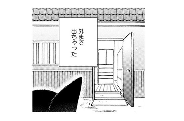 【猫視点】ヤツは消えたけど、今度は苦手な人間が来た! に、逃げないと!! あれ?ここは外!?【同居人はひざ、時々、頭のうえ。 #43】