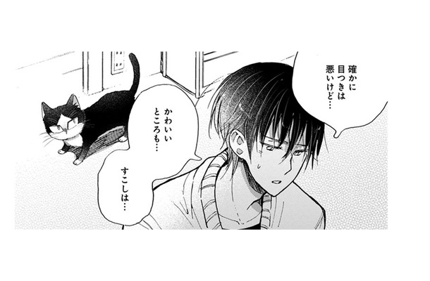 【猫視点】私の役目、わかってるから!! あなたをちゃんと守ってあげるから、安心しなさいよねっ！【同居人はひざ、時々、頭のうえ。 #54】