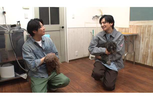 相葉雅紀、生田斗真（C）日本テレビ