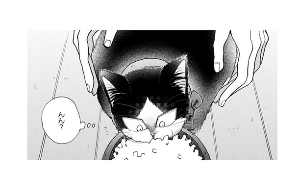 【猫視点】人間が首に何かつけてきた。なんだかやな感じ。だけど安心もする… まあいいか♪【同居人はひざ、時々、頭のうえ。 #62】