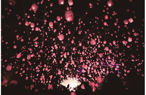 花見灯夜2026/提供画像