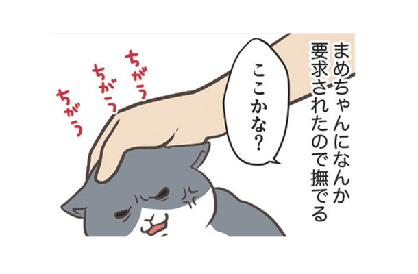 愛猫にねだられ、なでなでタイム。まさか「肉球」を触って欲しいなんてことあるんだ…【おさんぽですし！　おしゃべり犬とイライラ猫の日記 #22】