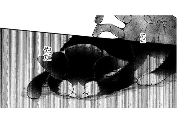 【猫視点】箱に入れられて知らない場所に置き去りに… あの子はそんな事はしない… よね?【同居人はひざ、時々、頭のうえ。 #73】