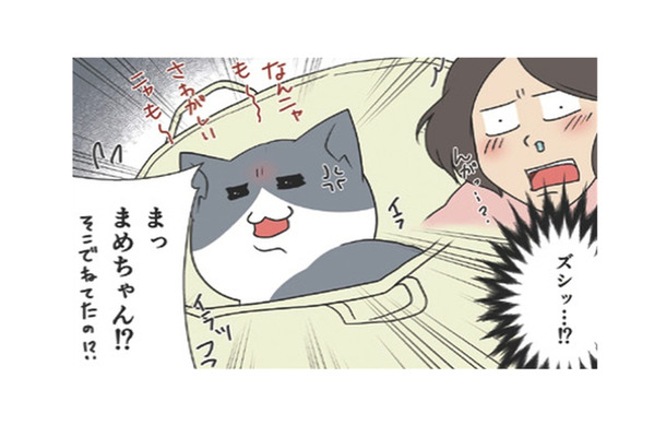 お気に入りの場所から絶対に動きたくない愛猫。漬物石より重たくなるのはなぜ？【おさんぽですし！　おしゃべり犬とイライラ猫の日記 #23】