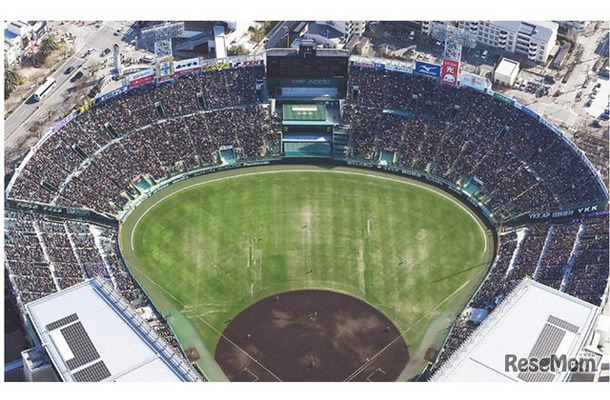 第98回選抜高等学校野球大会