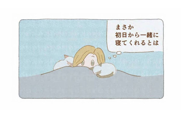 「いてくれるだけでいい」迷い猫たちと一緒に眠った夜から、家族がはじまった【夜が明けるとき猫がそばにいれば #8】