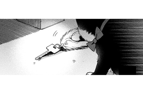 猫が何かを匂ってる… 家の鍵!? さっき帰るとき忘れていった？ 連絡先がわからない…【同居人はひざ、時々、頭のうえ。 #78】