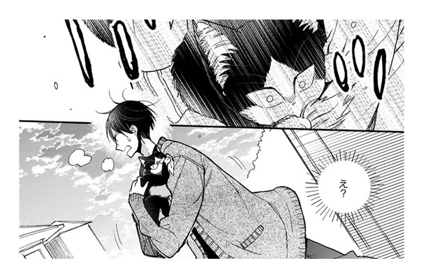 【猫視点】私が見つけたモノを取ろうとするあの子！ だって、このにおいは… とらないで!!【同居人はひざ、時々、頭のうえ。 #82】