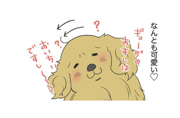 話しかけると一生懸命、聞いてくれる愛犬の仕草が可愛い 一方、愛猫の反応は…?!【おさんぽですし！　おしゃべり犬とイライラ猫の日記 #28】