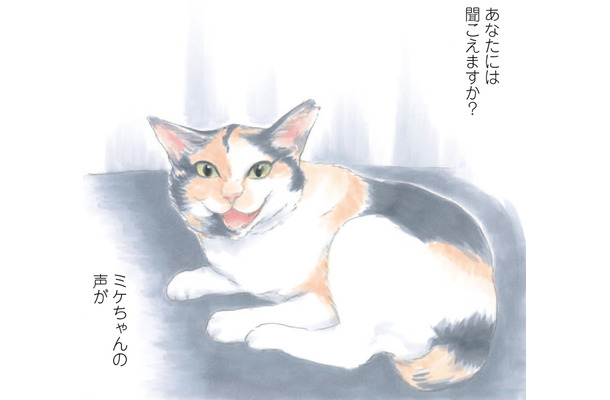 「もしもミケちゃんがおしゃべりできたなら…」優しい気持ちになれる、猫と飼い主の心温まる物語【ミケちゃんとやすらぎさん #１】