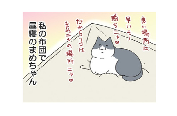 「たまらない」私の布団で昼寝してた愛猫。後に残ったほのかな温もりが至福のひととき【おさんぽですし！　おしゃべり犬とイライラ猫の日記 #32】