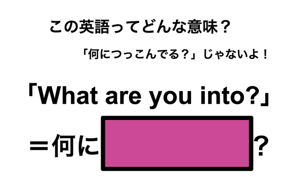 この英語ってどんな意味？「What are you into?」