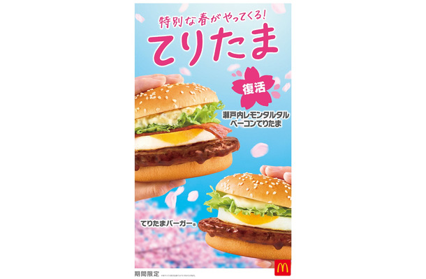 「てりたまファミリー」キービジュアル(提供写真)