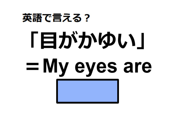 英語で「目がかゆい」は何て言う？
