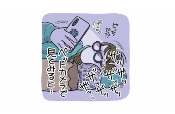 「ザッザッザッ」夜に響くトイレ音…ペットカメラに映っていたのは?【猫がおしりを向けてきます #2】