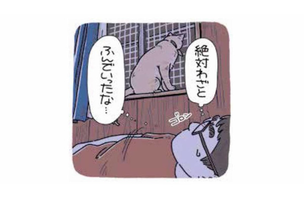 「絶対わざと踏んだよね？」猫のわかりやすい行動に隠れた理由【猫がおしりを向けてきます #５】