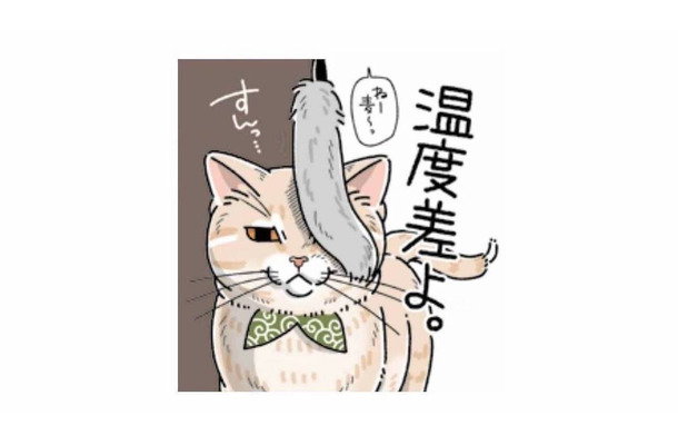 「すんっ…」遊びたい飼い主を華麗にスルーする猫の反応【猫がおしりを向けてきます #6】