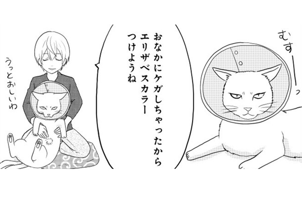 お腹をケガした「ねこまた」。エリザベスカラーをつけた姿を見た小豆とぎは…【ウチの百鬼夜行 #28】