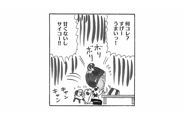 甘いものは超苦手！友人宅に遊びに行った時、クッキーだと思ってバクバク食べたものとは？【ますます毎日やらかしてます。 #３】