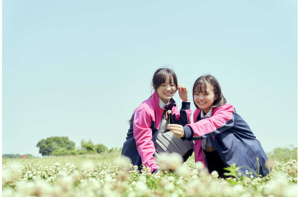 『ザッケン!』2026上村奈帆・モノガタリラボ・プクプク/小学館/『ザッケン!』製作委員会