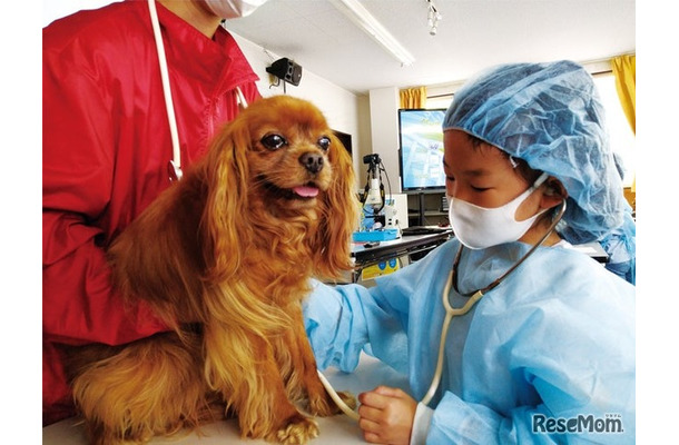 獣医さん体験スクール