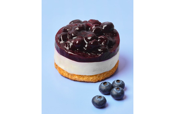 ブルーベリーレアチーズケーキ（提供写真）