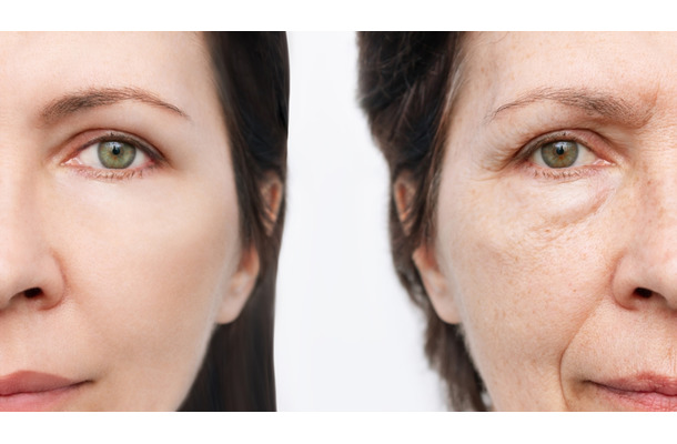 「老化は自然現象ではなく、コントロールできる病気」。老化抑制する成分がブロッコリーの７倍もある野菜とは