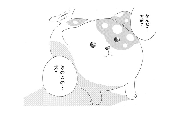 「妖怪？それとも妖精？」きのこの下から現れたのは、犬みたいな謎の生き物だった【きのこいぬ #２】