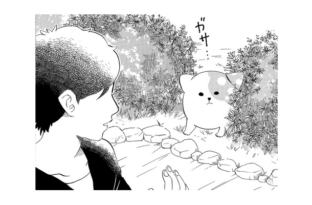 「絶対出てきちゃダメだぞ」言い聞かせたのに、庭に出てきてしまったきのこいぬ【きのこいぬ #14】