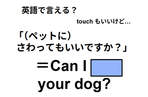 英語で「ペットに触ってもいいですか？」は何て言う？