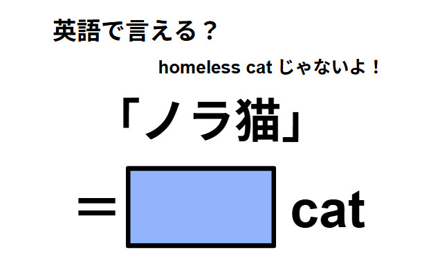 英語で「ノラ猫」は何て言う?