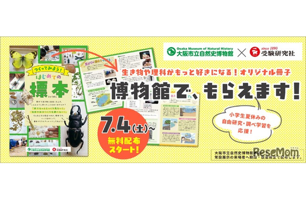 夏休みの自由研究・調べ学習を応援「つくってみよう！はじめての標本」無料冊子を配布