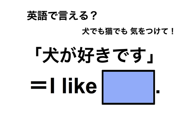 英語で「犬が好きです」は何て言う？
