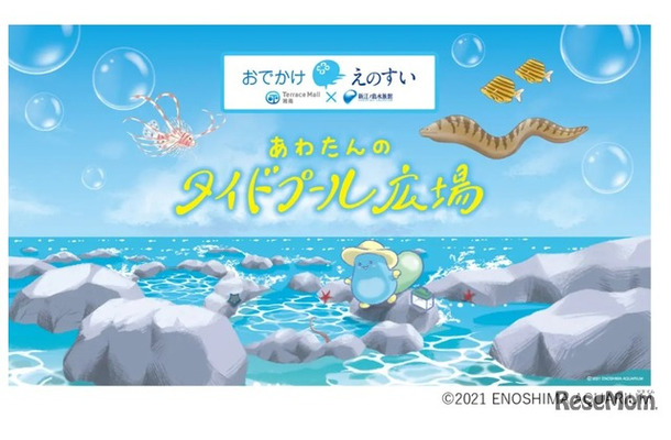 出張水族館「おでかけえのすい」(c)ENOSHIMA AQUARIUM
