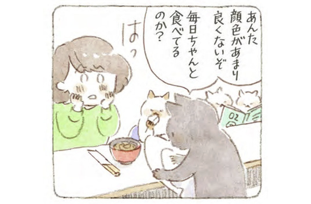 肉球天国⁉「化粧ノリも悪いし、夕方には目が霞む…」落ち込む女性に、思いがけない“ご褒美”が【深夜3時のくろねこ喫茶 #3】