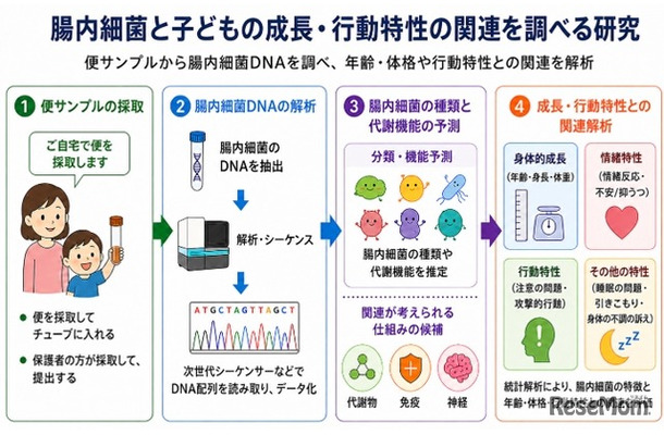 腸内細菌と子供の成長・行動特性の関連を調べる研究