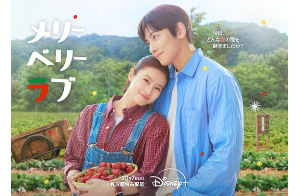 「メリーベリーラブ」(C) 2026 CJ ENM Japan