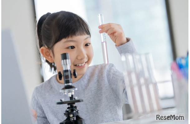 026年の夏休みの自由研究に関する意識調査