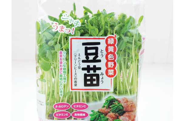 その豆苗、本当に新鮮? プロが教える「おいしい豆苗」の見分け方と長持ちさせる保存術