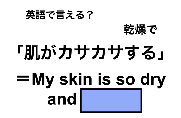 英語で「肌がカサカサする」は何て言う?