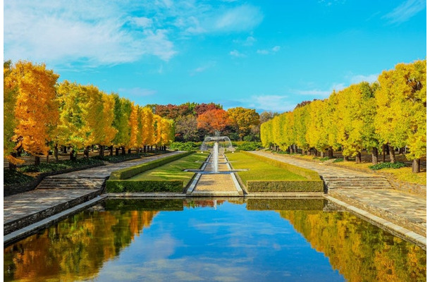 国営昭和記念公園/提供画像