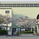 トヨタ、国内5工場で稼働停止