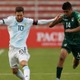 サッカーの試合に乱入した犬、車に轢かれる…“抱っこした選手”が引き取る