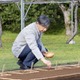 天皇陛下が皇居で種もみまき