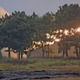陸自、離島防衛のロケット砲訓練